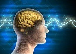 brain 2
