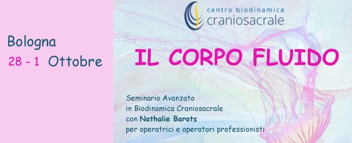 IMMAGINE2
