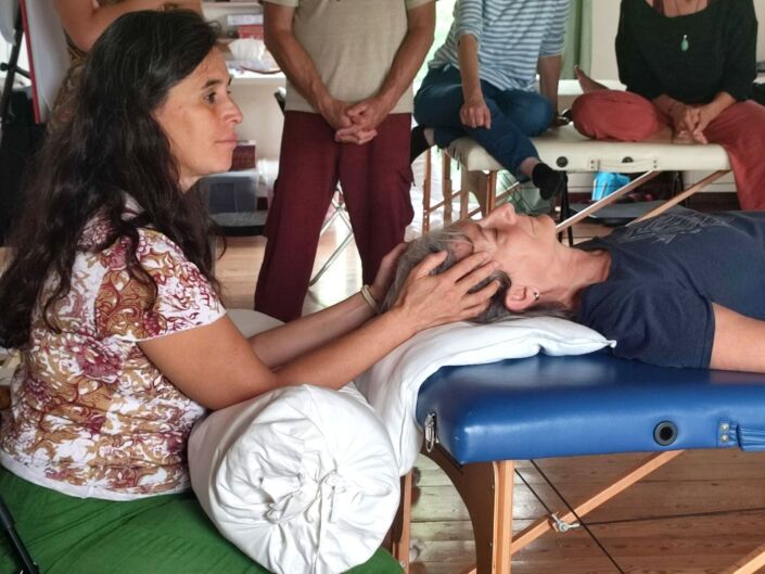 Formazione Biodinamica Craniosacrale
